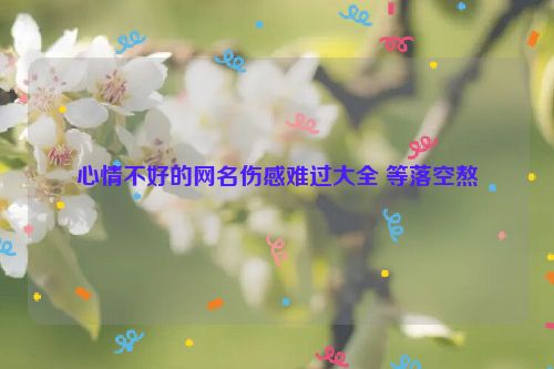 心情不好的网名伤感难过大全 等落空熬