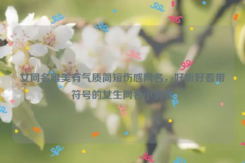 女网名唯美有气质简短伤感网名，好听好看带符号的女生网名小清新