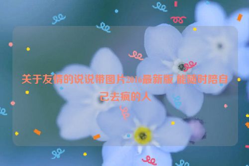 关于友情的说说带图片2016最新版 能随时陪自己去疯的人