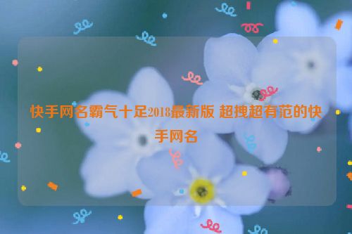 快手网名霸气十足2018最新版 超拽超有范的快手网名