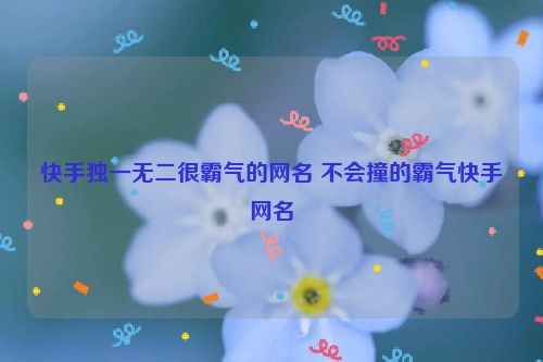 快手独一无二很霸气的网名 不会撞的霸气快手网名