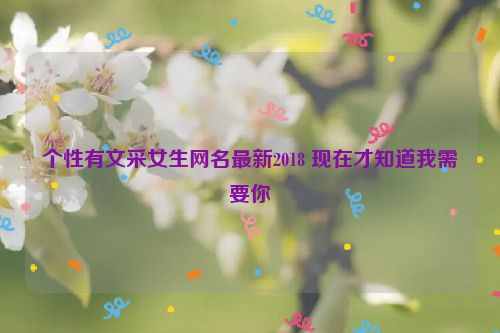 个性有文采女生网名最新2018 现在才知道我需要你