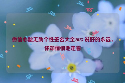 微信心酸无助个性签名大全2023 说好的永远，你却悄悄地走着