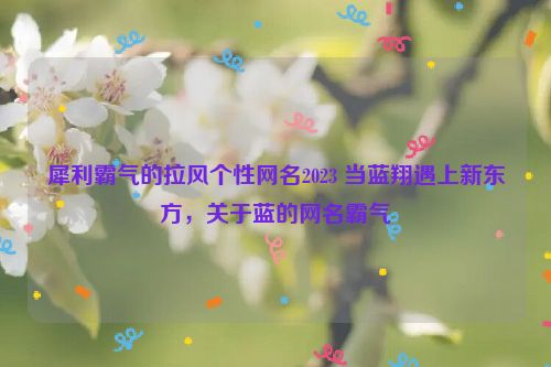 犀利霸气的拉风个性网名2023 当蓝翔遇上新东方，关于蓝的网名霸气