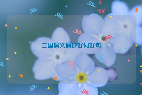 三国演义摘抄好词好句