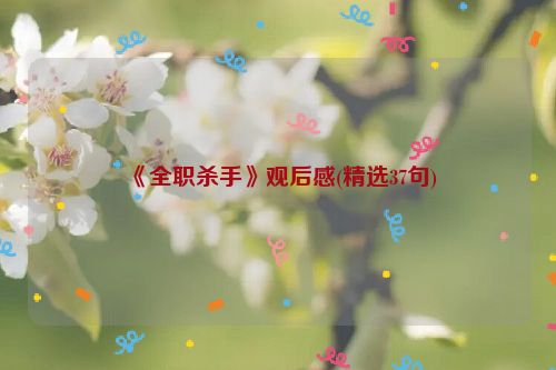 《全职杀手》观后感(精选37句)