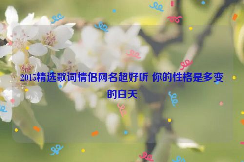 2015精选歌词情侣网名超好听 你的性格是多变的白天