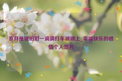 岁月是琥铂泪一滴滴打车被锁上_幸福快乐的感情个人签名