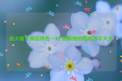 最火霸气情侣网名一对 酷霸拽的情侣名字大全