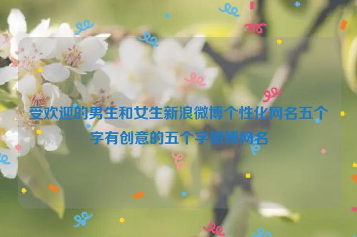 受欢迎的男生和女生新浪微博个性化网名五个字有创意的五个字微博网名