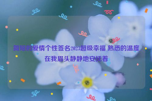 简短的爱情个性签名2023超级幸福 熟悉的温度在我眉头静静地安抚着