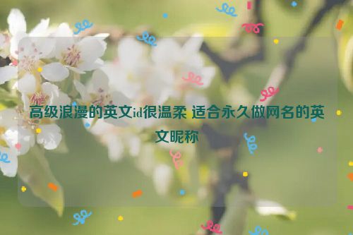 高级浪漫的英文id很温柔 适合永久做网名的英文昵称