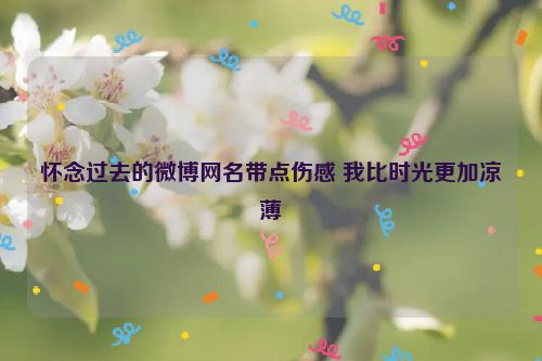 怀念过去的微博网名带点伤感 我比时光更加凉薄