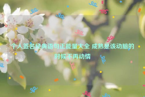 个人签名经典语句正能量大全 成熟是该动脑的时候不再动情