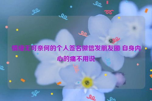 情绪无可奈何的个人签名微信发朋友圈 自身内心的痛不用说