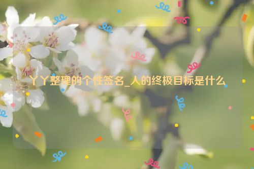 丫丫整理的个性签名_人的终极目标是什么