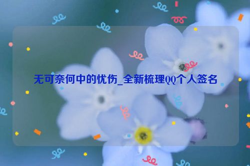 无可奈何中的忧伤_全新梳理QQ个人签名