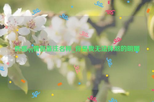 伤感qq情侣备注名称_你是我无法抹煞的明媚