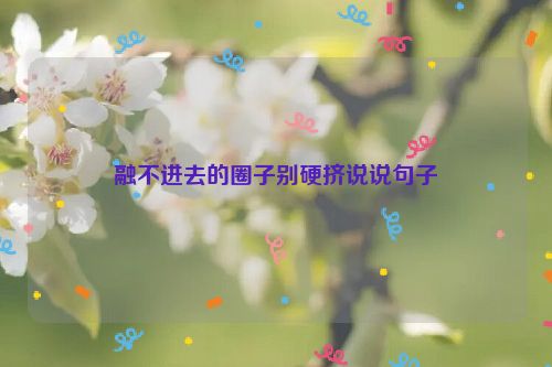 融不进去的圈子别硬挤说说句子