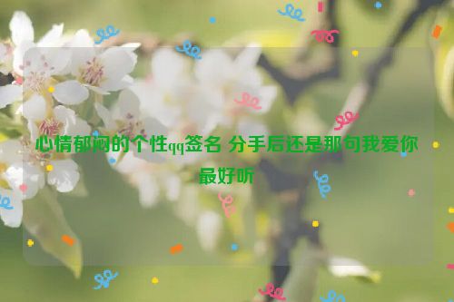 心情郁闷的个性qq签名 分手后还是那句我爱你最好听