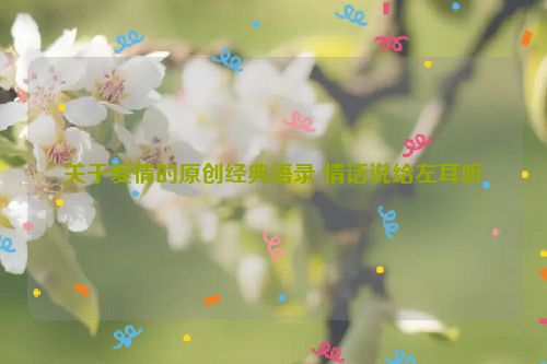 关于爱情的原创经典语录 情话说给左耳听