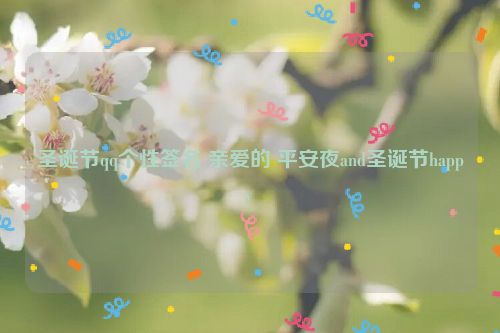 圣诞节qq个性签名 亲爱的 平安夜and圣诞节happy