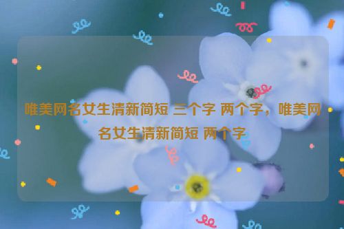 唯美网名女生清新简短 三个字 两个字，唯美网名女生清新简短 两个字