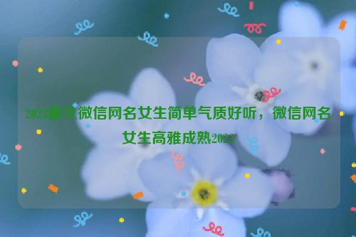 2023最火微信网名女生简单气质好听，微信网名女生高雅成熟2023