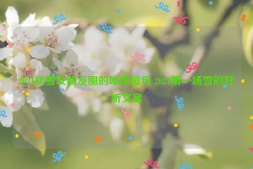 2021初雪发朋友圈的唯美短句 2021第一场雪的好听文案