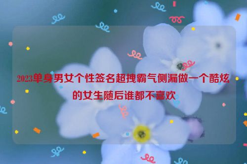 2023单身男女个性签名超拽霸气侧漏做一个酷炫的女生随后谁都不喜欢