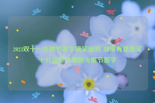 2023双十一光棍节签字搞笑幽默 非常有意思又十分活泼可爱的光棍节签字