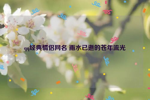 qq经典情侣网名 雨水已逝的苍年流光