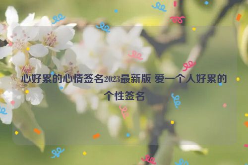 心好累的心情签名2023最新版 爱一个人好累的个性签名