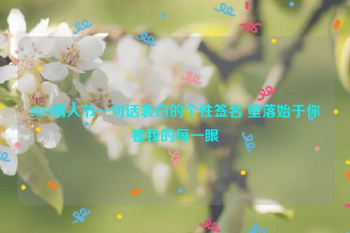 2023情人节一句话表白的个性签名 堕落始于你看我的每一眼