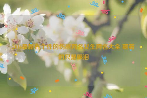 2016最新有个性的伤感网名女生网名大全 藏着的只是眼泪