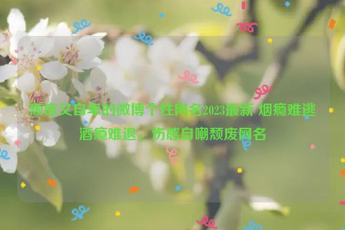 颓废又自卑的微博个性网名2023最新 烟瘾难逃酒瘾难退，伤感自嘲颓废网名