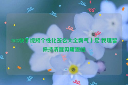 2023快手视频个性化签名大全霸气十足 我理智保持清醒毋庸置疑