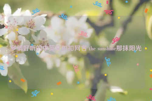 多情好听的中英文扣扣网名 the sunshine那抹阳光