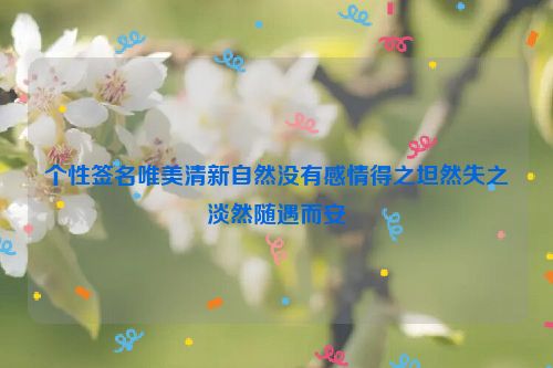 个性签名唯美清新自然没有感情得之坦然失之淡然随遇而安