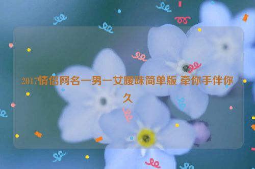 2017情侣网名一男一女暧昧简单版 牵你手伴你久