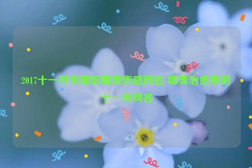 2017十一月专属的唯美伤感网名 唯美治愈系的十一月网名