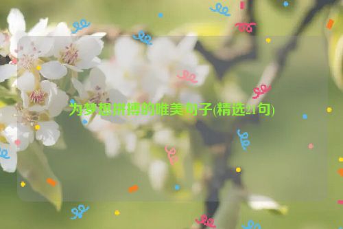 为梦想拼搏的唯美句子(精选21句)