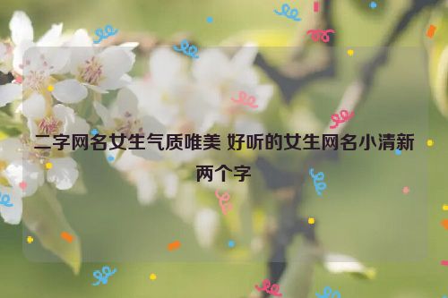 二字网名女生气质唯美 好听的女生网名小清新两个字