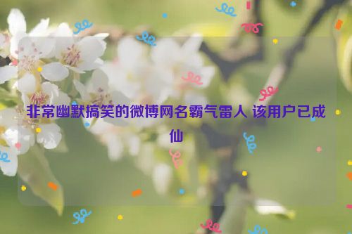 非常幽默搞笑的微博网名霸气雷人 该用户已成仙