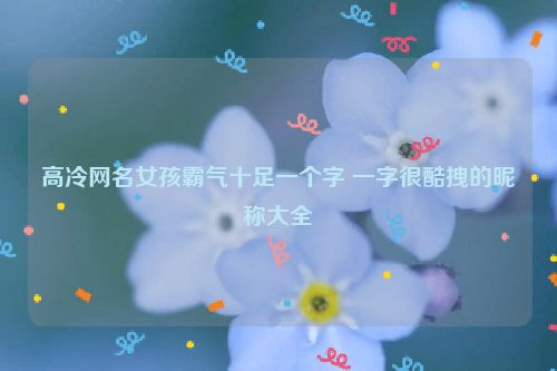 高冷网名女孩霸气十足一个字 一字很酷拽的昵称大全