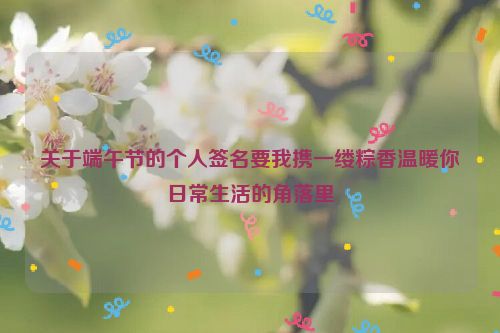 关于端午节的个人签名要我携一缕粽香温暖你日常生活的角落里