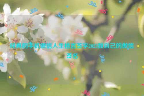 经典的手机微信人生格言签字2023致自己的微信签名