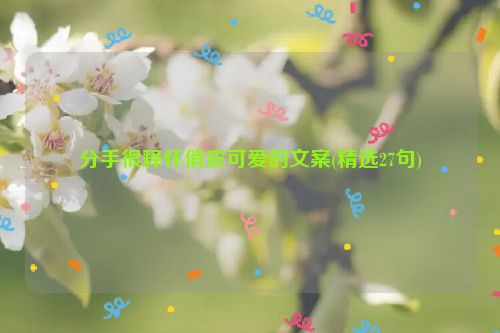 分手很释怀俏皮可爱的文案(精选27句)