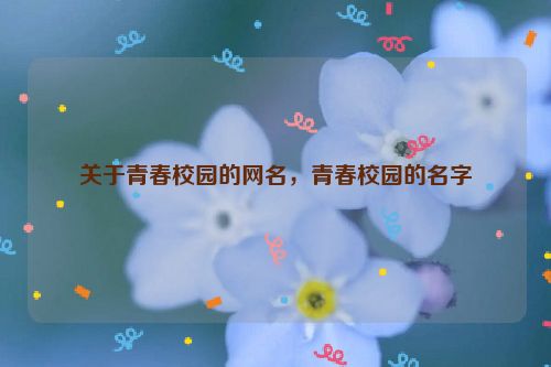 关于青春校园的网名，青春校园的名字