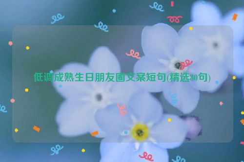 低调成熟生日朋友圈文案短句(精选80句)